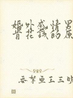 婚外感情男人不肯花钱的原因封面