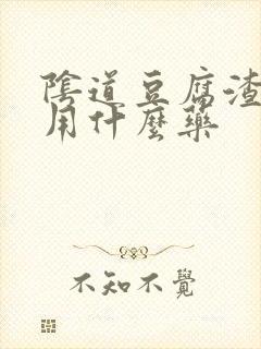 阴道豆腐渣白带用什么药