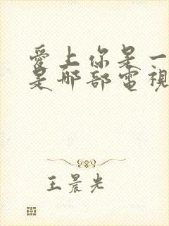 爱上你是一个错是哪部电视剧的歌封面