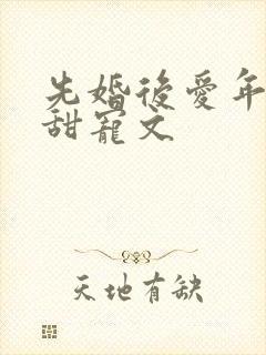 先婚后爱年龄差甜宠文封面