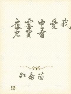 夜雾中爱我全集免费看