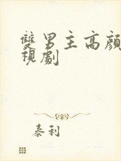 双男主高颜值电视剧封面