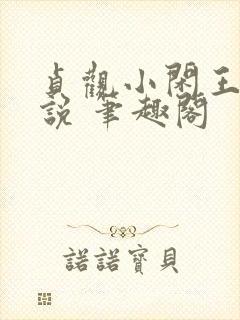 贞观小闲王 小说 笔趣阁