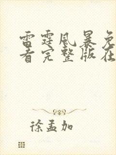 雷霆风暴免费观看完整版在线全集封面