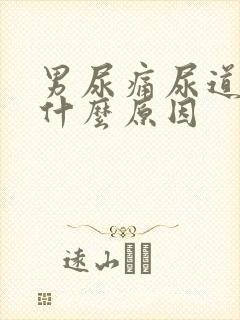 男尿痛尿道刺痛什么原因