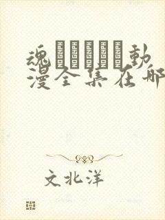 魂インサート动漫全集在哪里看