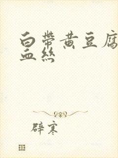 白带黄豆腐渣带血丝