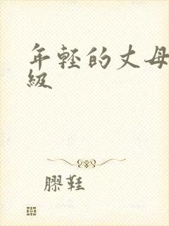 年轻的丈母娘三级