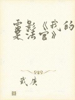 电影《我的姐姐是法官》