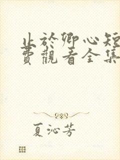 止于卿心短剧免费观看全集播放