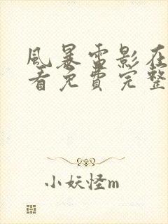 风暴电影在线观看免费完整版高清