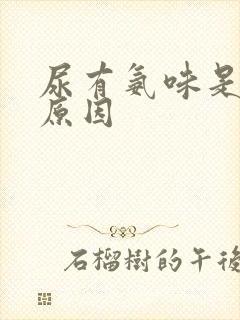 尿有氨味是什么原因