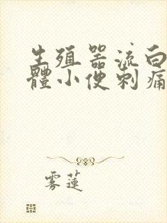 生殖器流白色液体小便刺痛是怎么回事