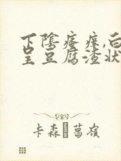 下阴瘙痒,白带呈豆腐渣状