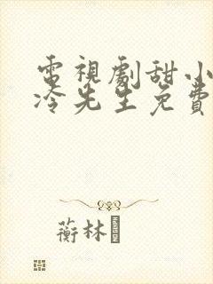 电视剧甜小姐和冷先生免费观看全集