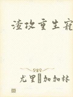 渣攻重生宠夫记