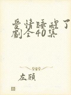 爱情睡醒了电视剧全40集封面