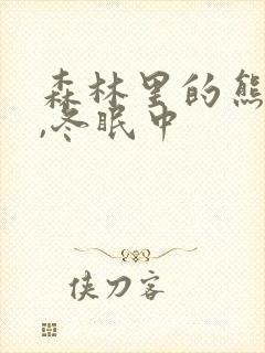 森林里的熊先生,冬眠中