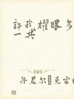 许我耀眼多少集一共