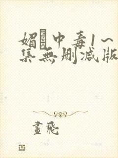 媚薬中毒1～2集无删减版封面