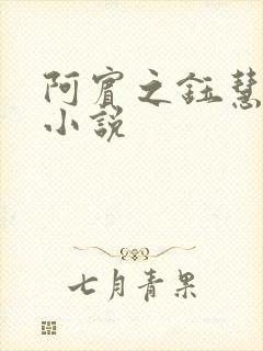 阿宾之钰慧有声小说