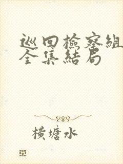 巡回检察组43全集结局