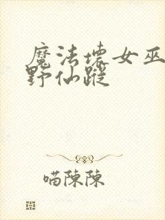 魔法坏女巫和绿野仙踪封面