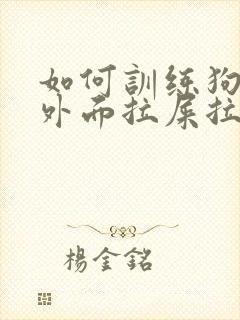 如何训练狗狗在外面拉屎拉尿