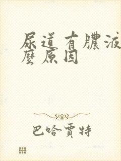 尿道有脓液是什么原因