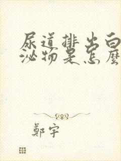 尿道排出白色分泌物是怎么回事