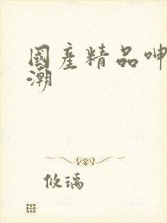 国产精品呻吟高潮