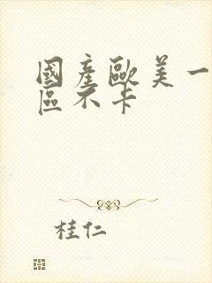 国产欧美一区二区不卡