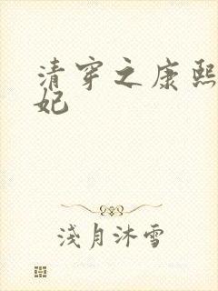 清穿之康熙太子妃