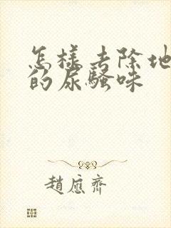 怎样去除地毯上的尿骚味