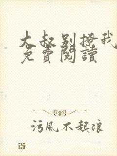 大叔别撩我小说免费阅读
