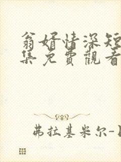 翁婿情深短剧全集免费观看
