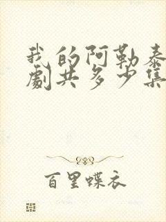 我的阿勒泰电视剧共多少集