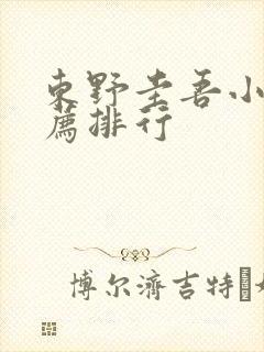 东野圭吾小说推荐排行