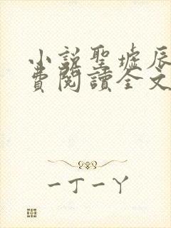 小说圣墟辰东免费阅读全文封面