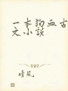 一本狗血古早虐文小说封面