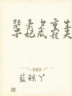 楚素夕重生后太子妃成宠夫狂魔了