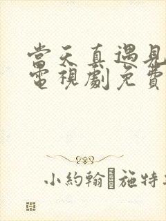 当天真遇见爱情电视剧免费观看封面