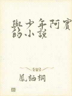 与少年阿宾一样的小说