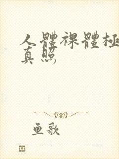 人体裸体极品写真照