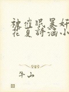 被催眠暴奸的校花夏诗涵小说