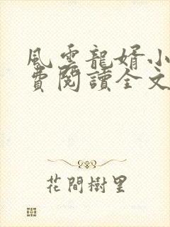 风云龙婿小说免费阅读全文封面