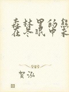 森林里的熊先生在冬眠中未增减版漫画