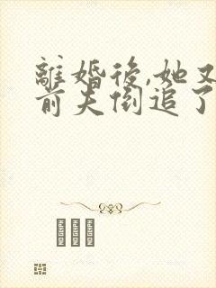 离婚后,她又被前夫倒追了