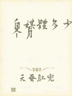 自媒体多少钱一个月