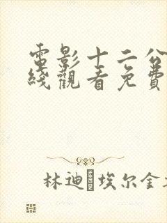 电影十二公民在线观看免费